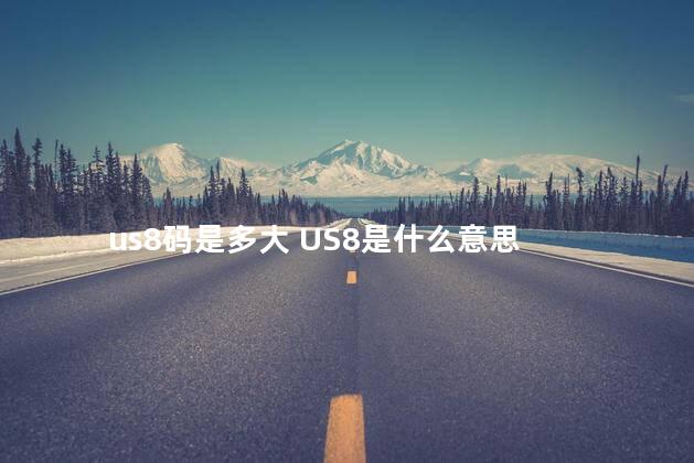 us8码是多大 US8是什么意思